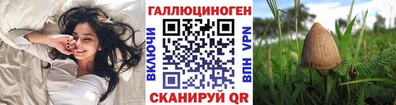 цены наркотик  Каспийск  Галлюциногенные грибы GOLDEN TEACHER 